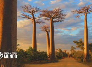 Guía para vivir en Madagascar Guía para vivir en Madagascar