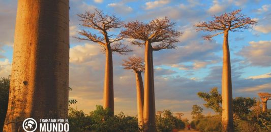 Guía para vivir en Madagascar Guía para vivir en Madagascar