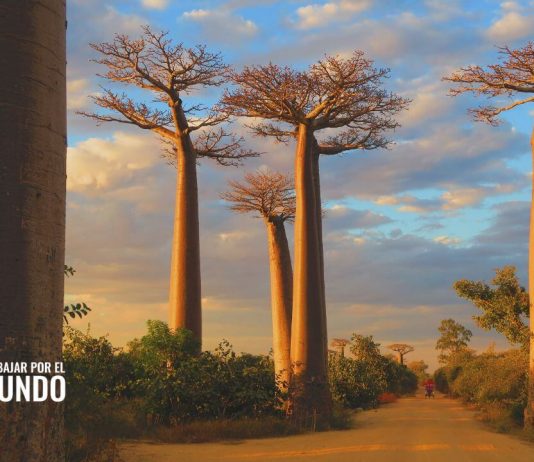 Guía para vivir en Madagascar Guía para vivir en Madagascar