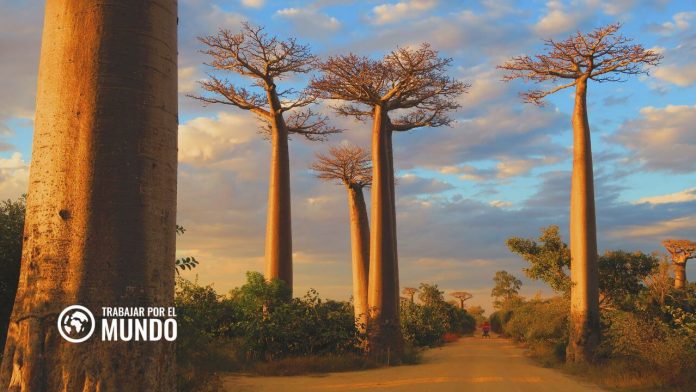 Guía para vivir en Madagascar