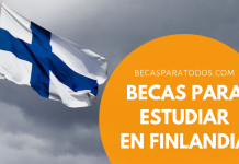 Becas ONU para investigaciones de tesis doctorales en Finlandia Becas ONU para investigaciones de tesis doctorales en Finlandia