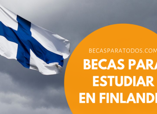 Becas ONU para investigaciones de tesis doctorales en Finlandia Becas ONU para investigaciones de tesis doctorales en Finlandia
