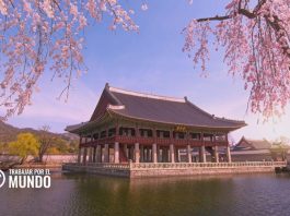 Visa de Corea del Sur ¿ Qué debes saber? Visa de Corea del Sur ¿ Qué debes saber?