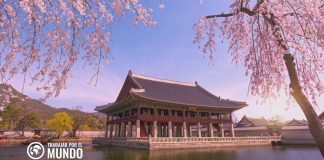 Visa de Corea del Sur ¿ Qué debes saber? Visa de Corea del Sur ¿ Qué debes saber?