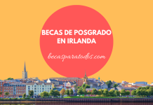 Becas de posgrado en Irlanda Becas de posgrado en Irlanda