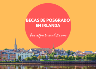 Becas de posgrado en Irlanda Becas de posgrado en Irlanda