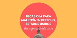 Becas OEA para maestría en derechos humanos Becas OEA para maestría en derechos humanos
