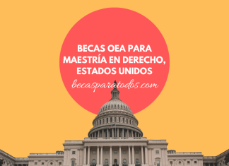Becas OEA para maestría en derechos humanos Becas OEA para maestría en derechos humanos