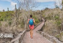 Visa para nómadas digitales en Ecuador Visa para nómadas digitales en Ecuador