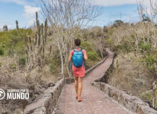 Visa para nómadas digitales en Ecuador Visa para nómadas digitales en Ecuador