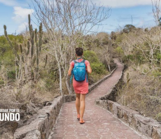 Visa para nómadas digitales en Ecuador Visa para nómadas digitales en Ecuador
