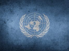 Vacantes ONU, convocatorias de trabajo en México, noviembre Vacantes ONU, convocatorias de trabajo en México, noviembre