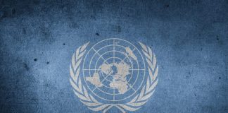 Vacantes ONU, convocatorias de trabajo en México, noviembre Vacantes ONU, convocatorias de trabajo en México, noviembre