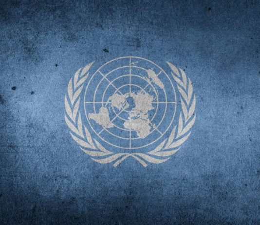Vacantes ONU, convocatorias de trabajo en México, noviembre Vacantes ONU, convocatorias de trabajo en México, noviembre
