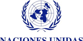 Trabajo en la ONU México, vacantes de diciembre Trabajo en la ONU México, vacantes de diciembre