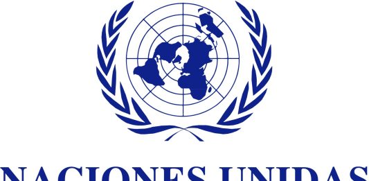 Trabajo en la ONU México, vacantes de diciembre Trabajo en la ONU México, vacantes de diciembre