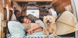 Qué es el club de las 5 y cuál es el momento más importante Qué es el club de las 5 y cuál es el momento más importante