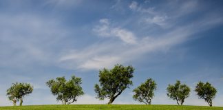 Máster en Gestión Medioambiental en España, becas para latinos Máster en Gestión Medioambiental en España, becas para latinos