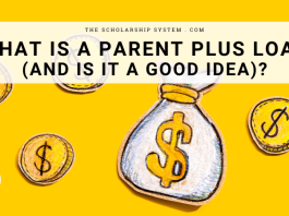 What Is a Moms And Dad Plus Loan (and Is It a Great Concept)? What Is a Moms And Dad Plus Loan (and Is It a Great Concept)?