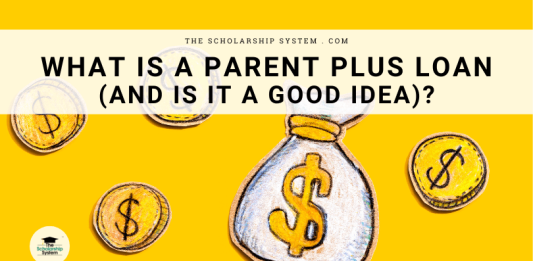 What Is a Moms And Dad Plus Loan (and Is It a Great Concept)? What Is a Moms And Dad Plus Loan (and Is It a Great Concept)?