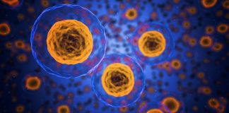 Becas posdoctorales en el extranjero en Ciencias de la Vida, Fundación Ramón Areces Becas posdoctorales en el extranjero en Ciencias de la Vida, Fundación Ramón Areces