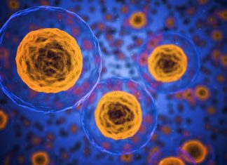 Becas posdoctorales en el extranjero en Ciencias de la Vida, Fundación Ramón Areces Becas posdoctorales en el extranjero en Ciencias de la Vida, Fundación Ramón Areces