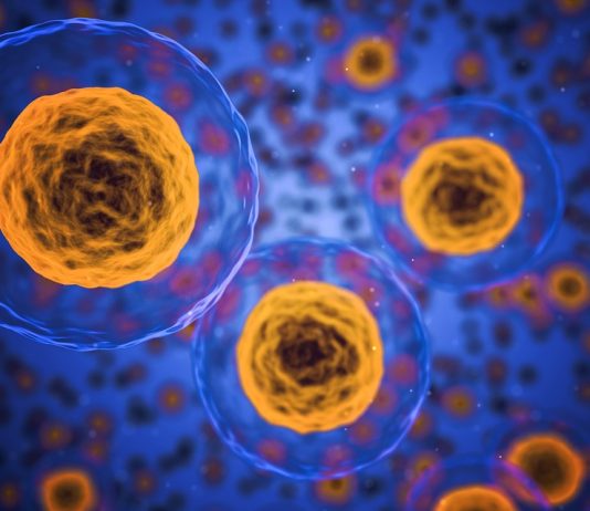 Becas posdoctorales en el extranjero en Ciencias de la Vida, Fundación Ramón Areces Becas posdoctorales en el extranjero en Ciencias de la Vida, Fundación Ramón Areces