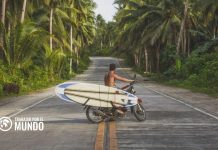 Descubre el Espíritu Aloha: Un Viaje de Amor, Paz y Conexión con la Naturaleza Descubre el Espíritu Aloha: Un Viaje de Amor, Paz y Conexión con la Naturaleza