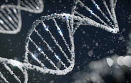 Expert Courses to look for: Biotechnology Expert Courses to look for: Biotechnology