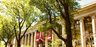 Early Choice: cuándo debe considerarse como estrategia Early Choice: cuándo debe considerarse como estrategia