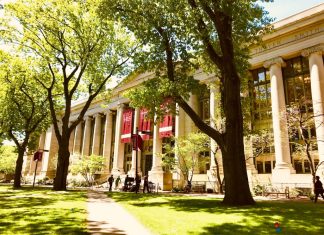 Early Choice: cuándo debe considerarse como estrategia Early Choice: cuándo debe considerarse como estrategia