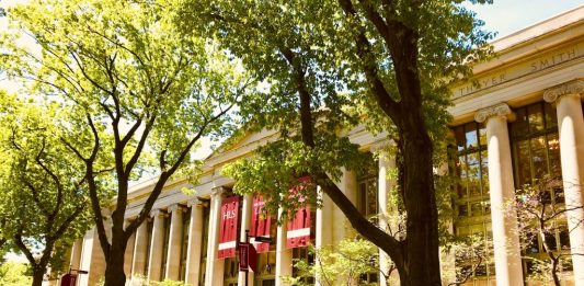 Early Choice: cuándo debe considerarse como estrategia Early Choice: cuándo debe considerarse como estrategia