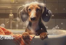 Cómo Ganar Dinero Vendiendo Imágenes Hechas con IA Cómo Ganar Dinero Vendiendo Imágenes Hechas con IA