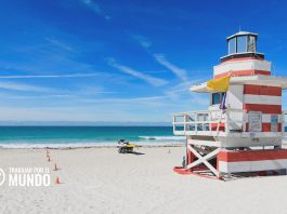 Cuánto tienes que ganar para vivir en Miami Cuánto tienes que ganar para vivir en Miami