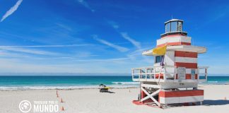 Cuánto tienes que ganar para vivir en Miami Cuánto tienes que ganar para vivir en Miami