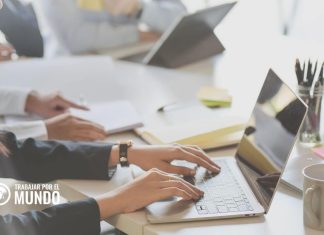 Cómo Crear un Currículum de Éxito: Lecciones de los Profesionales Más Exitosos Cómo Crear un Currículum de Éxito: Lecciones de los Profesionales Más Exitosos