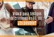 Visa U para testigos de crímenes en EE. UU.: ¿ Es posible? Visa U para testigos de crímenes en EE. UU.: ¿ Es posible?