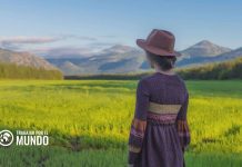 Choosing Jobs o Cómo Trabajar de Recolector en Irlanda Choosing Jobs o Cómo Trabajar de Recolector en Irlanda