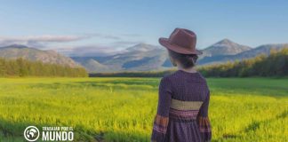 Choosing Jobs o Cómo Trabajar de Recolector en Irlanda Choosing Jobs o Cómo Trabajar de Recolector en Irlanda