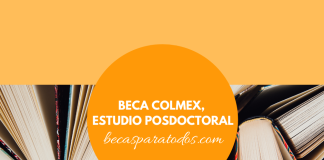 Beca COLMEX, estudio posdoctoral sobre desigualdad Beca COLMEX, estudio posdoctoral sobre desigualdad