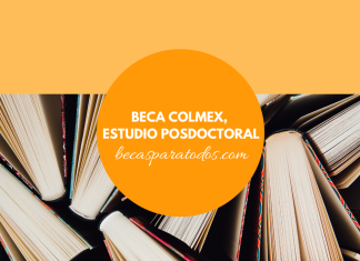 Beca COLMEX, estudio posdoctoral sobre desigualdad Beca COLMEX, estudio posdoctoral sobre desigualdad