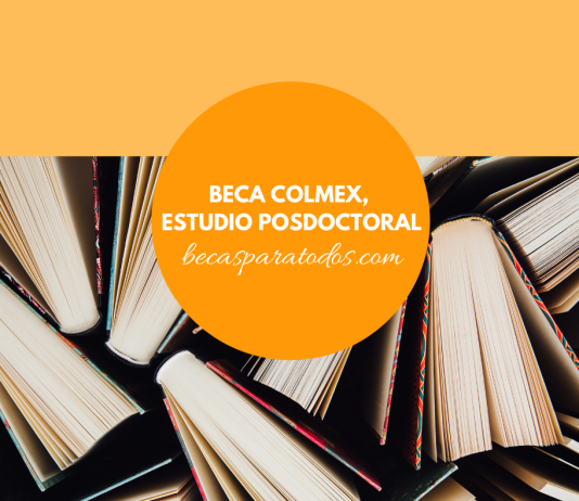 Beca COLMEX, estudio posdoctoral sobre desigualdad Beca COLMEX, estudio posdoctoral sobre desigualdad