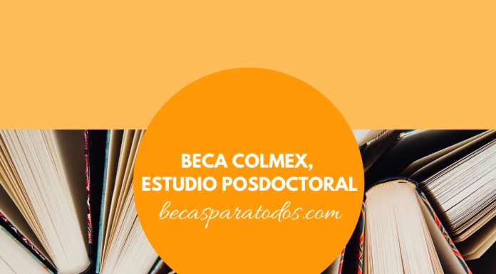 Beca COLMEX, estudio posdoctoral sobre desigualdad Beca COLMEX, estudio posdoctoral sobre desigualdad