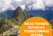 Becas trAndes de posdoctorado Becas trAndes de posdoctorado