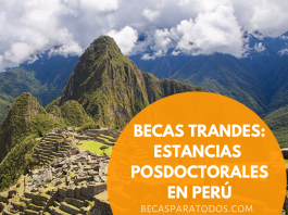 Becas trAndes de posdoctorado Becas trAndes de posdoctorado