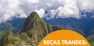Becas trAndes de posdoctorado Becas trAndes de posdoctorado