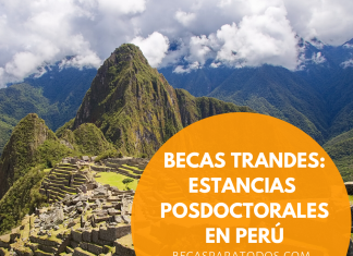 Becas trAndes de posdoctorado Becas trAndes de posdoctorado