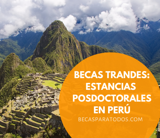Becas trAndes de posdoctorado Becas trAndes de posdoctorado