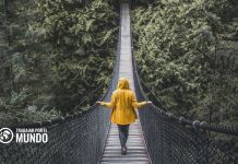 35 Cosas Imprescindibles que Ver y Hacer en Vancouver 35 Cosas Imprescindibles que Ver y Hacer en Vancouver