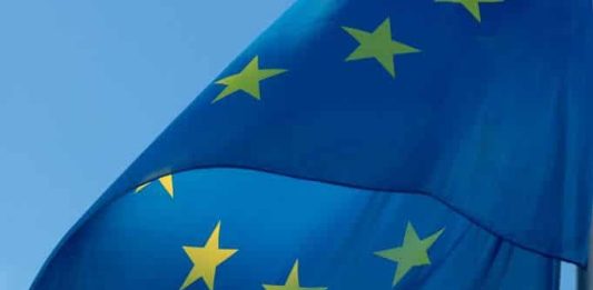 Prácticas en el Consejo de Europa Prácticas en el Consejo de Europa